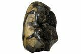 Free-Standing, Polished Septarian Geode - Black Crystals #172804-2